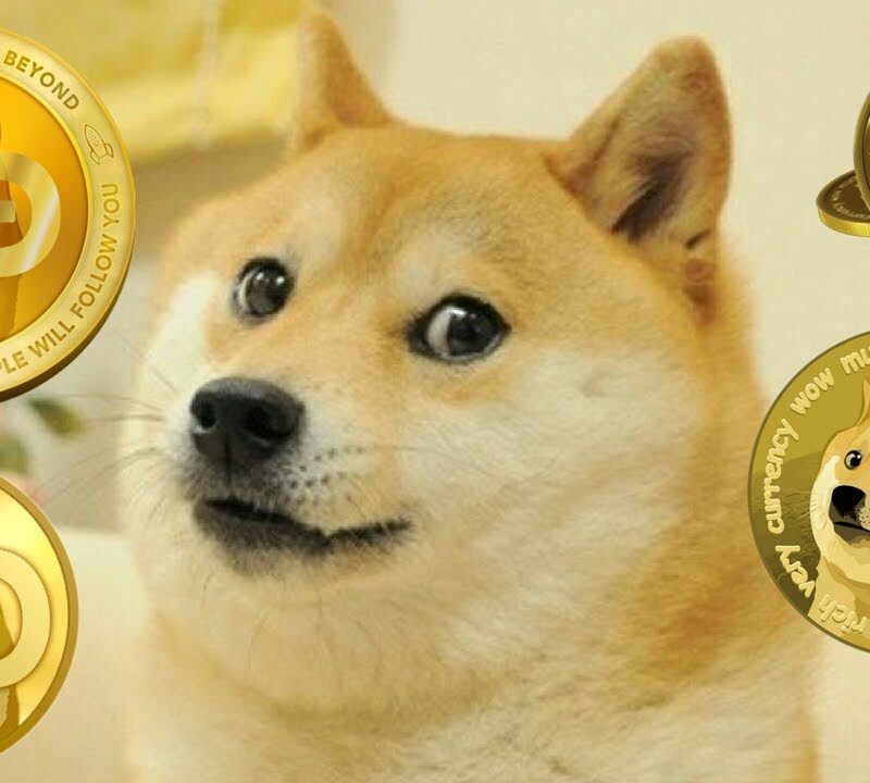 Crypto: Dip Duck Dive and Doge