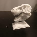 trex-skull