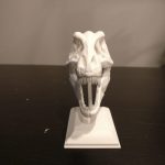 trex-skull-front